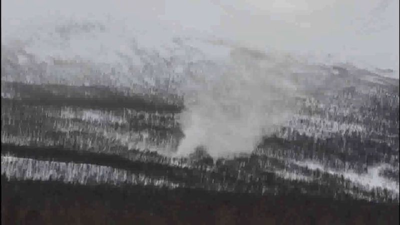 Vzácný „sněžný ďábel” se objevil na severu Norska